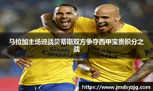 星空.综合体育(中国)官方网站