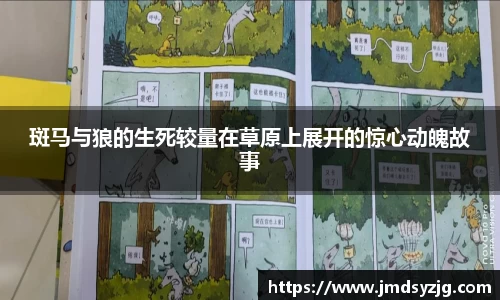 斑马与狼的生死较量在草原上展开的惊心动魄故事